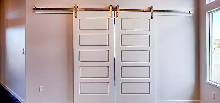 Glass Barn Door with Installation Hardware Kit Georgetown